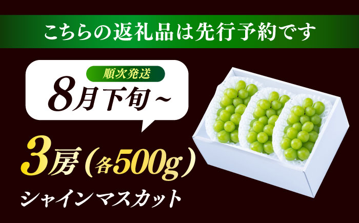  シャインマスカット しゃいんますかっと マスカット ますかっと