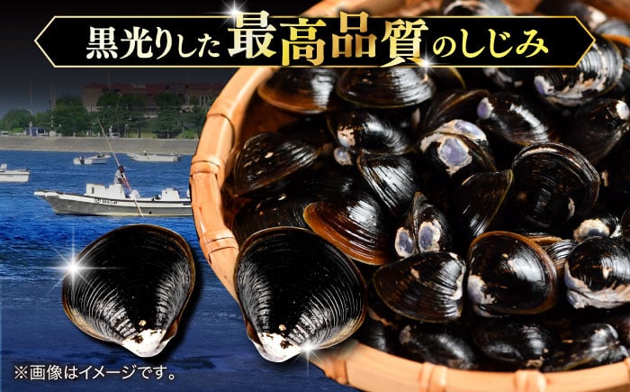 蜆 しじみ シジミ 宍道湖 魚介類 しじみ汁 産地直送 新鮮 松江 おすすめ