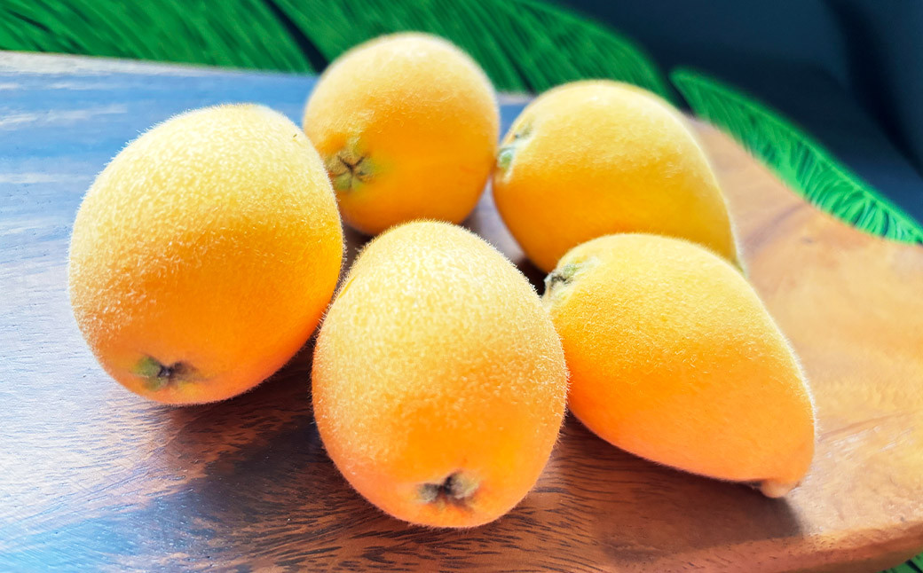 長崎 茂木びわ 『なつたより』 3L 計8玉