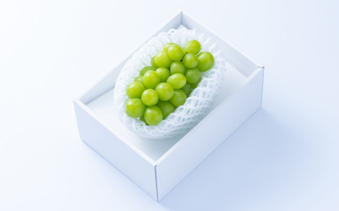  シャインマスカット しゃいんますかっと マスカット ますかっと