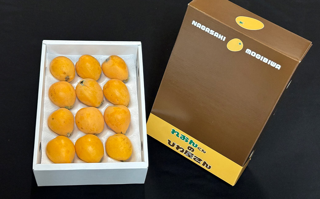 【訳あり】長崎産 茂木びわ「なつたより」2L（12粒入り）