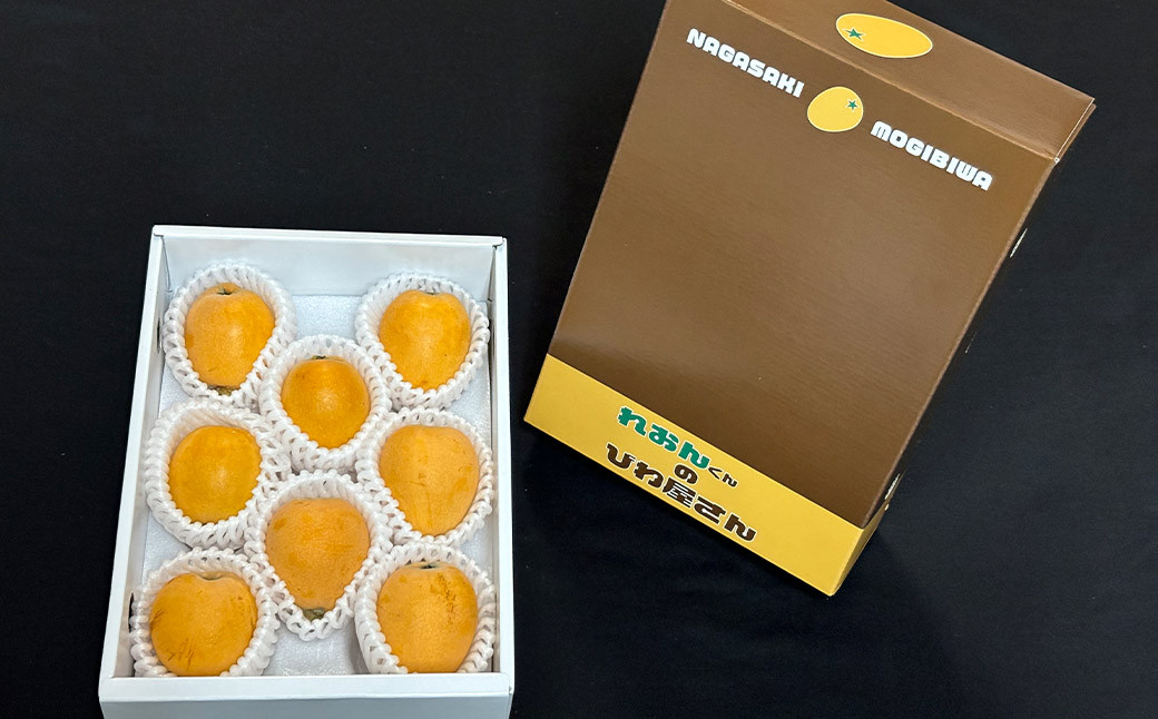 【訳あり】長崎産 茂木びわ「なつたより」3L（8粒入り）