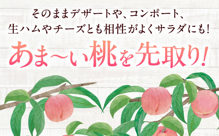 桃 もも モモ ピーチ 果物 果実 フルーツ 果樹 贈答用 ジャム コンポート 白桃 水蜜 あかつき なつおとめ デザート