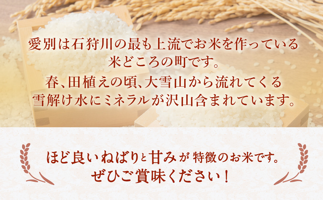 愛別町産米（ゆめぴりか5kg×2袋）