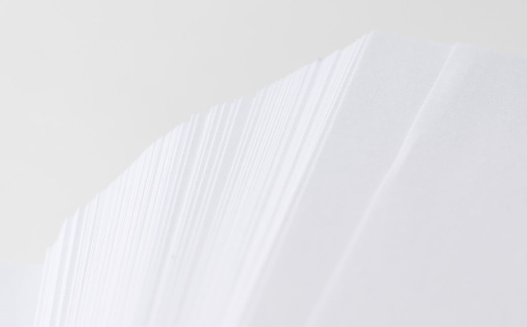 日本製紙 上質PPC-W A4コピー用紙 1000枚(500枚×2パック)