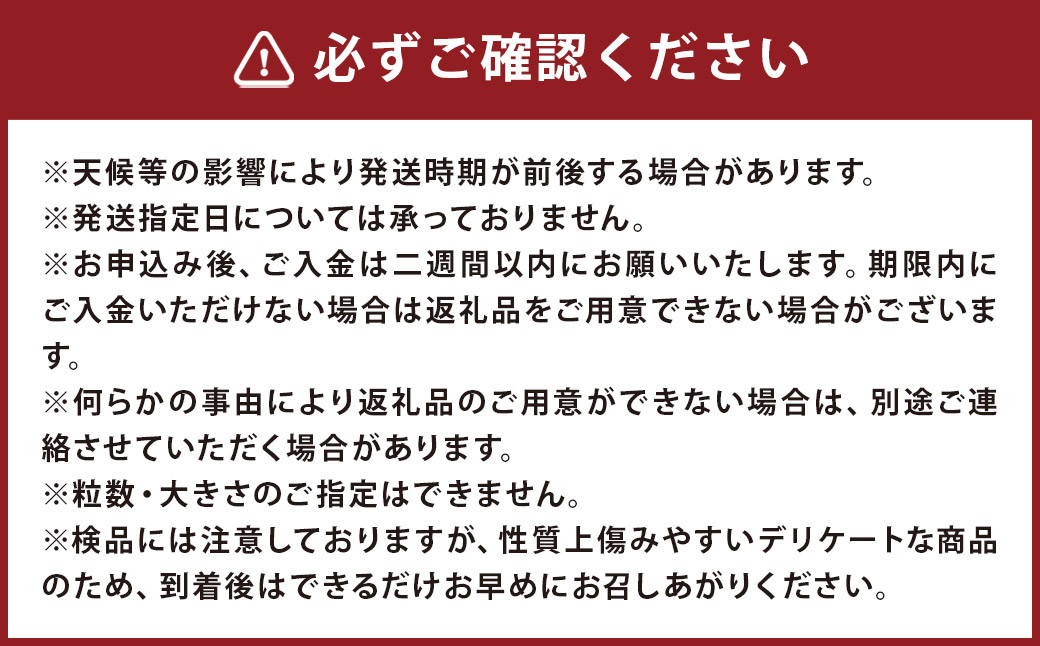 【訳あり】長崎産 茂木びわ「なつたより」3L（8粒入り）