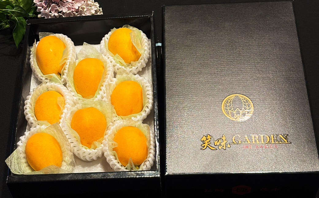 長崎 茂木びわ 『なつたより』 3L 計8玉