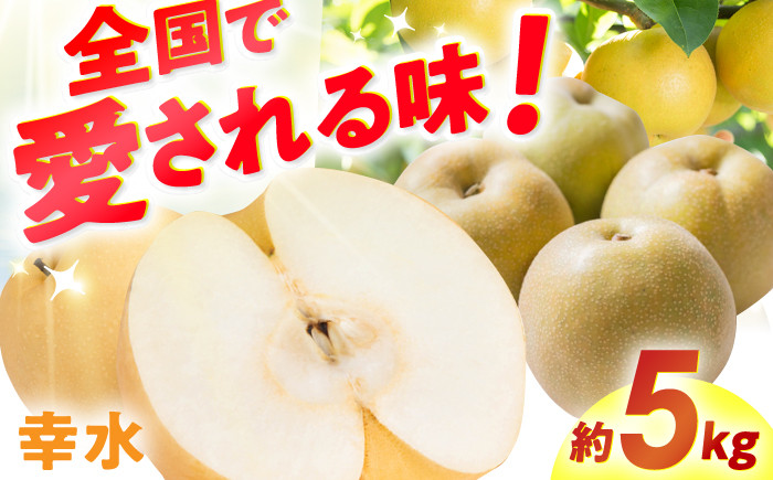 果物 梨 幸水 なし ナシ 果物