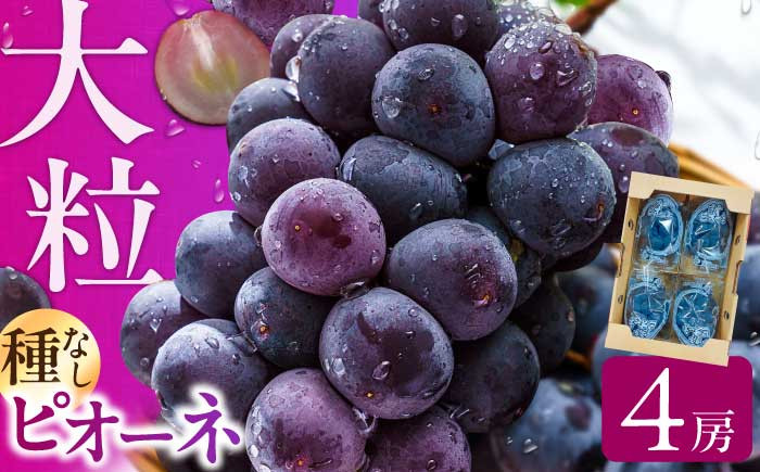 ぴおーね4房。ぶどう 葡萄 ブドウ