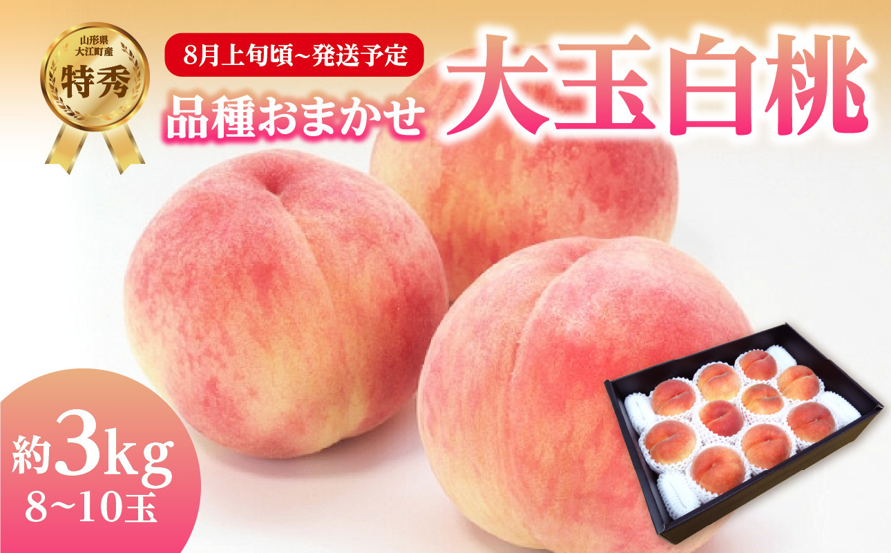 《先行受付》品種おまかせ 大玉白桃 約3kg【特秀】 （8～10玉）【2026年8月上旬頃～9月中旬発送予定】