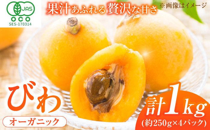 果物 びわ約250g  枇杷 ビワ  フルーツ 旬