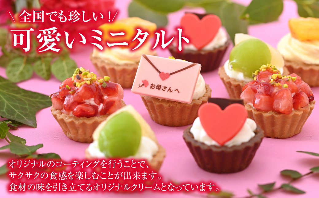 母の日限定 みにたるとセット 9個入