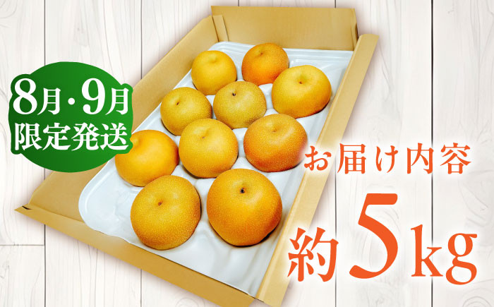 豊水5kg なし 梨 旬 おいしい