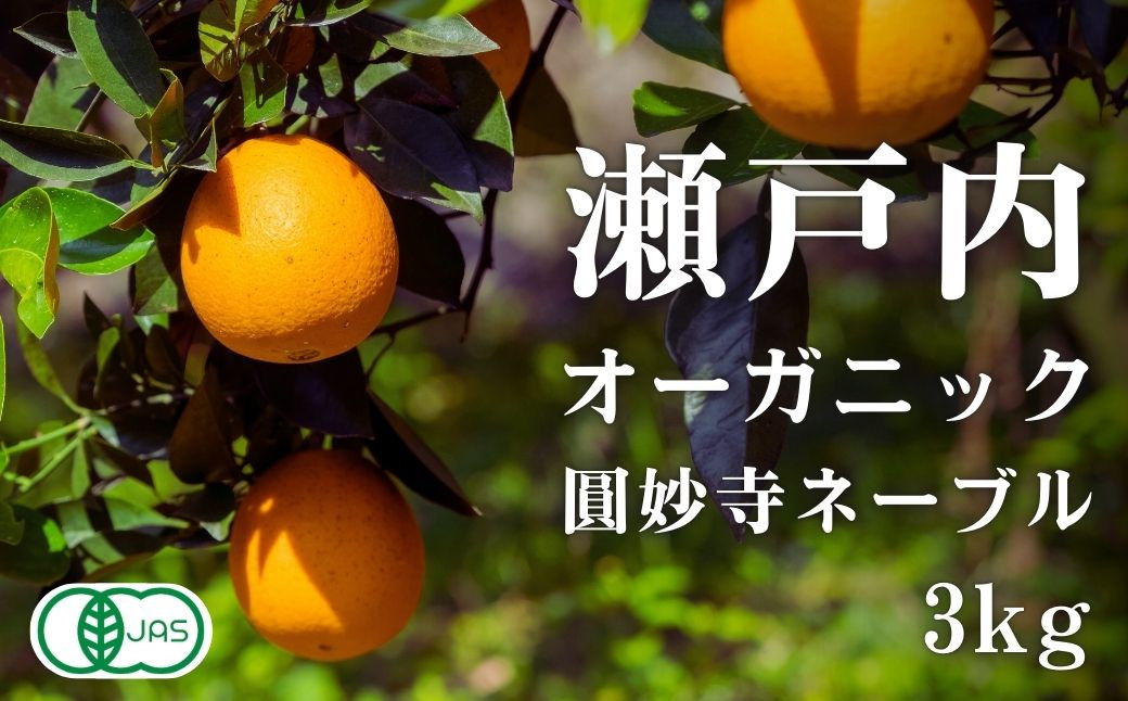大崎上島産 有機JAS認証！オーガニック圓妙寺ネーブル 約4㎏