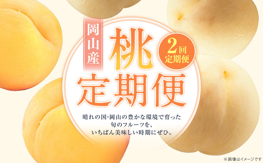 【2回定期便】桃(白桃・黄金桃)