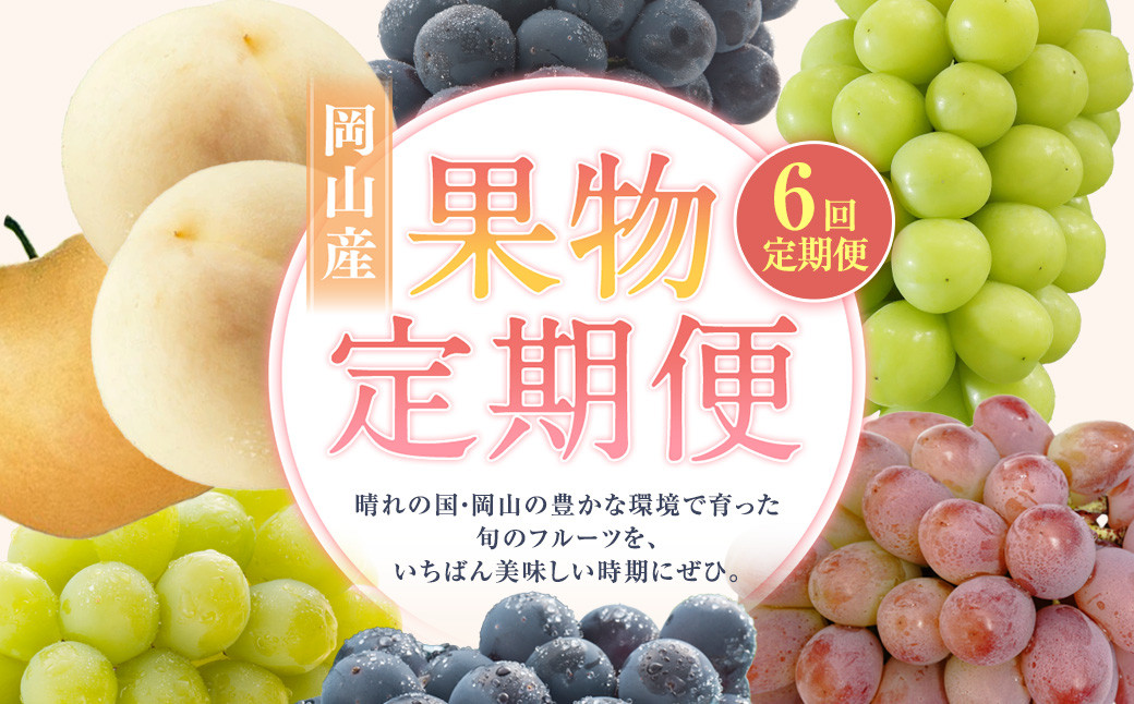 【6回定期便】 白桃 マスカットオブアレキサンドリア  桃太郎ぶどう ニューピオーネ 晴王 紫苑 あたご梨 