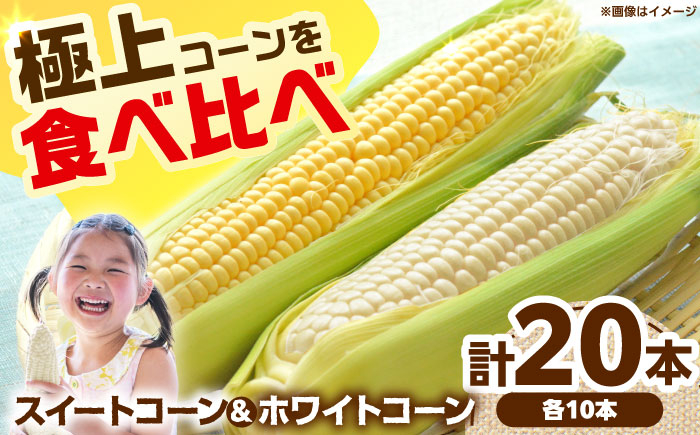 【6月以降発送予定】朝採れとうもろこし スイートコーン ホワイトコーン 食べ比べセット 各10本