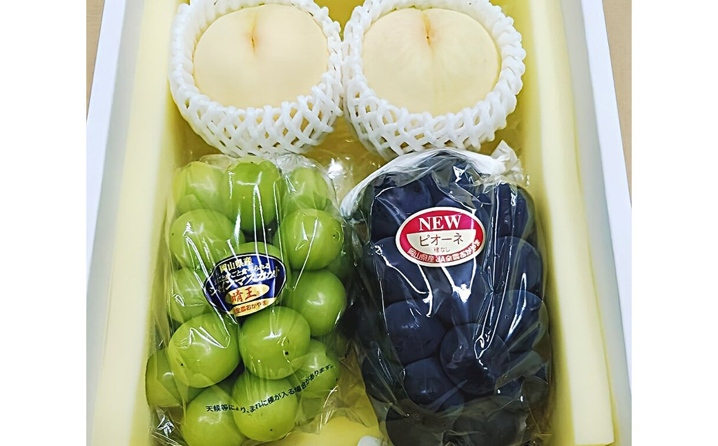 詰合／白桃2玉（1玉220g以上） ・ニューピオーネ1房（480g以上）・シャインマスカット1房（晴王・480g以上）