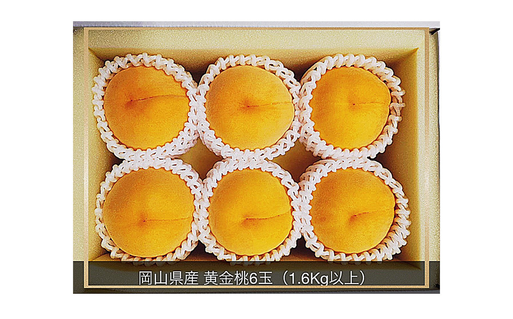 黄金桃 6玉（合計1.6kg以上） 化粧箱入り
