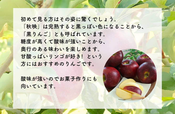 ≪南信州産≫果汁たっぷり、濃厚な味わいの完熟りんご「秋映」をお届けします！