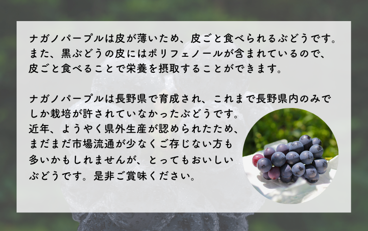 長野県オリジナル品種！甘くてポリフェノールたっぷりのぶどうをお届けします。