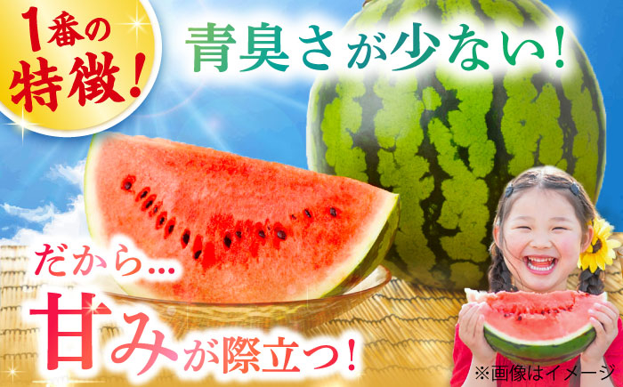 大玉 スイカ 2玉 すいか