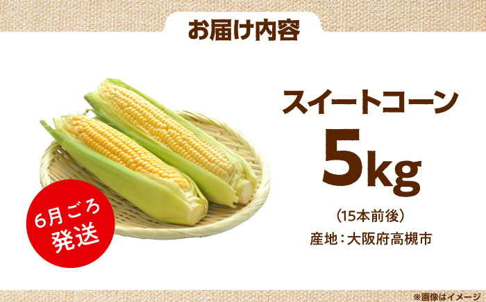 【6月以降発送予定】朝採れとうもろこし スイートコーン 5kg/15本前後
