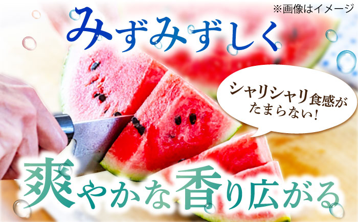 大玉 スイカ 2玉 すいか