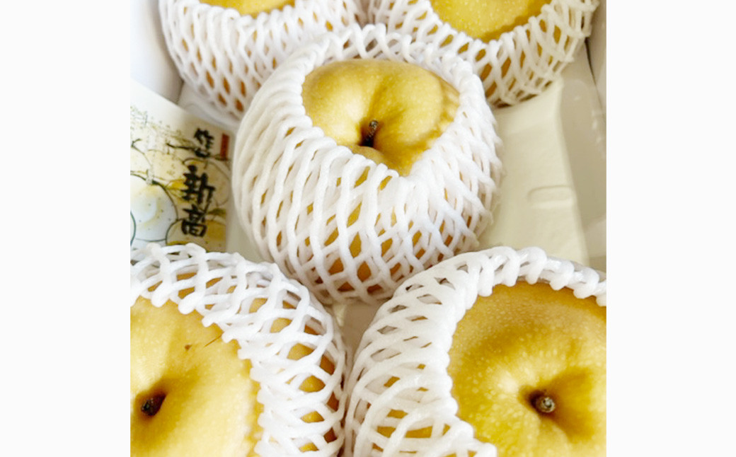 新高梨 3－6玉（合計約4kg） 化粧箱入り