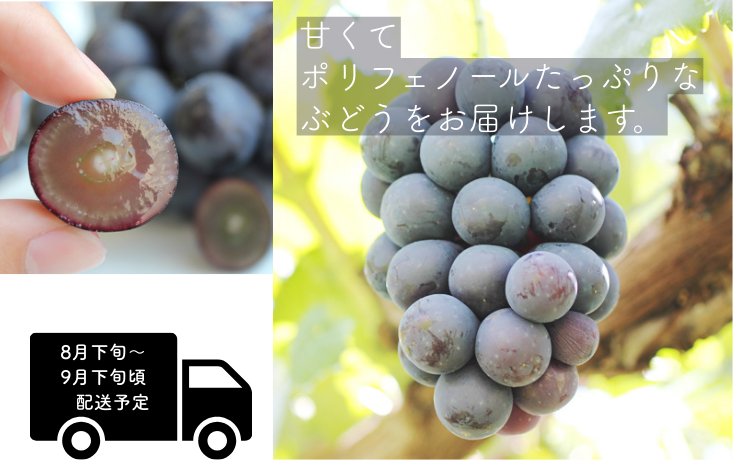 種がなく、皮まで食べられる!