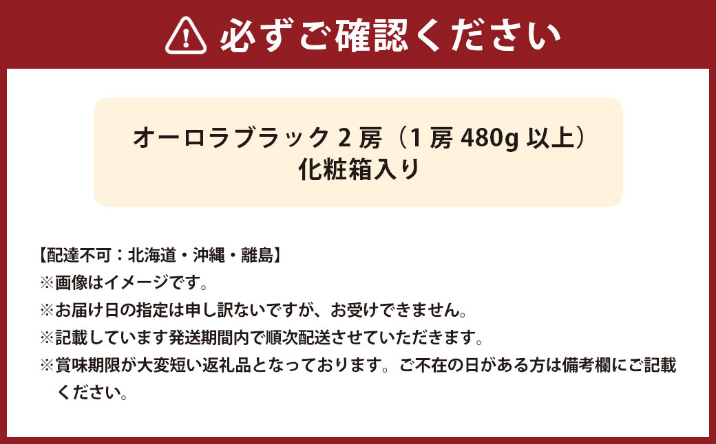 オーロラブラック 2房(1房480g以上) 化粧箱入り