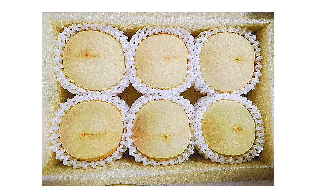 【6回定期便】 白桃 マスカットオブアレキサンドリア  桃太郎ぶどう ニューピオーネ 晴王 紫苑 あたご梨 