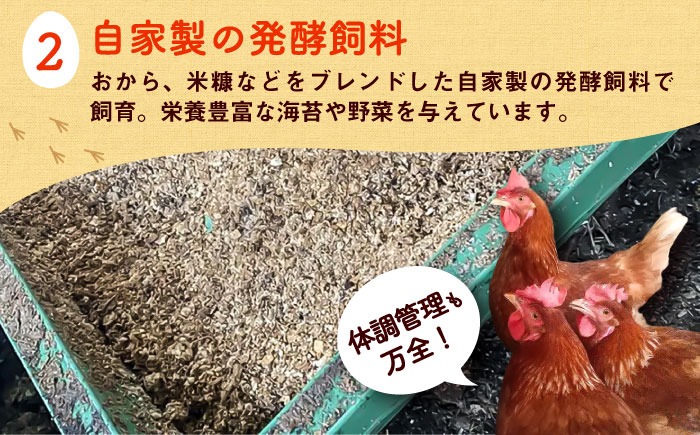 定期便 卵 ぷりぷり 新鮮 玉子 オムレツ たまごかけごはん 朝食 鶏卵 タンパク質 平飼い 濃厚 こく 熊本県 菊陽町