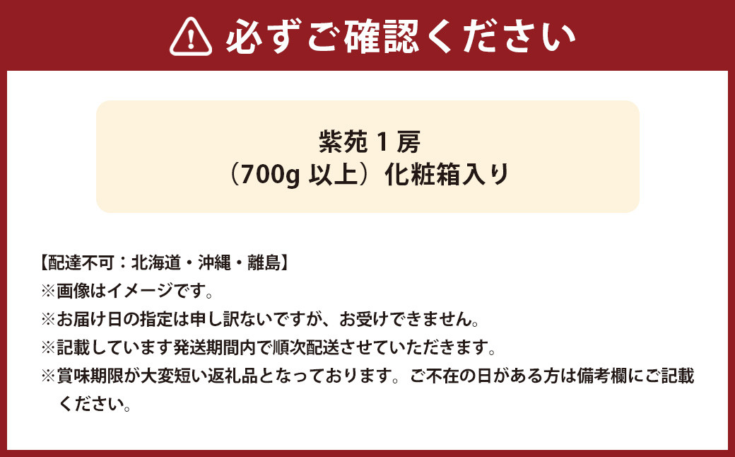 紫苑 1房（700g以上） 化粧箱入り