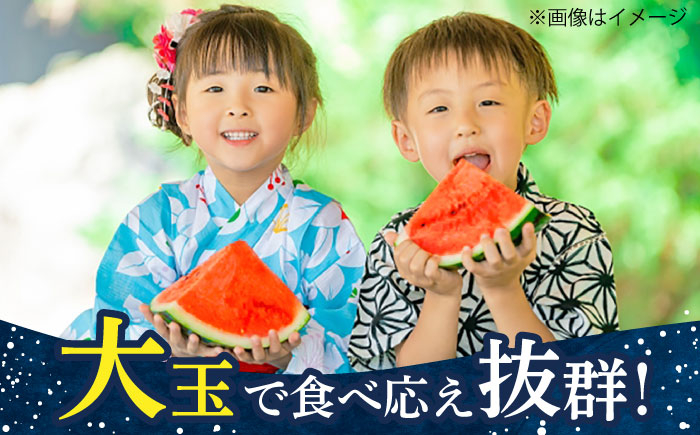 大玉 スイカ 2玉 すいか