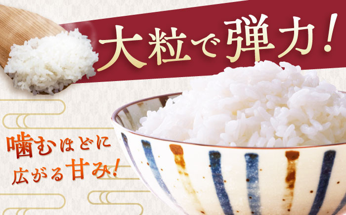 お米 米 ご飯 白米 白ご飯 ごはん コメ 定期便 お弁当 精米 精白米 さがびより