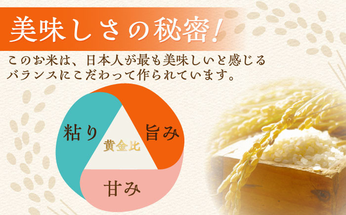 お米 米 ご飯 白米 白ご飯 ごはん コメ 定期便 お弁当 精米 精白米 さがびより