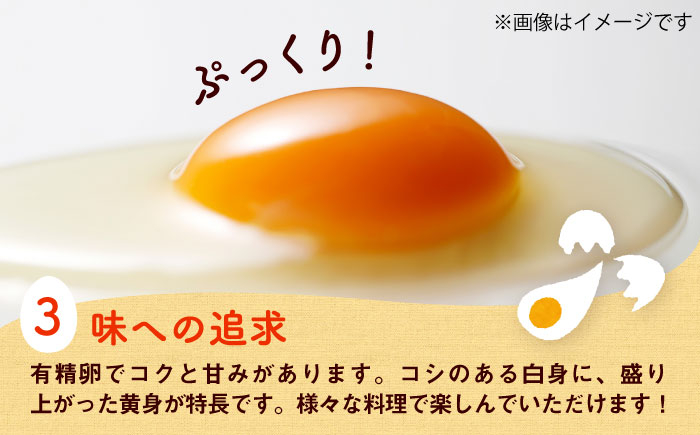 定期便 卵 ぷりぷり 新鮮 玉子 オムレツ たまごかけごはん 朝食 鶏卵 タンパク質 平飼い 濃厚 こく 熊本県 菊陽町