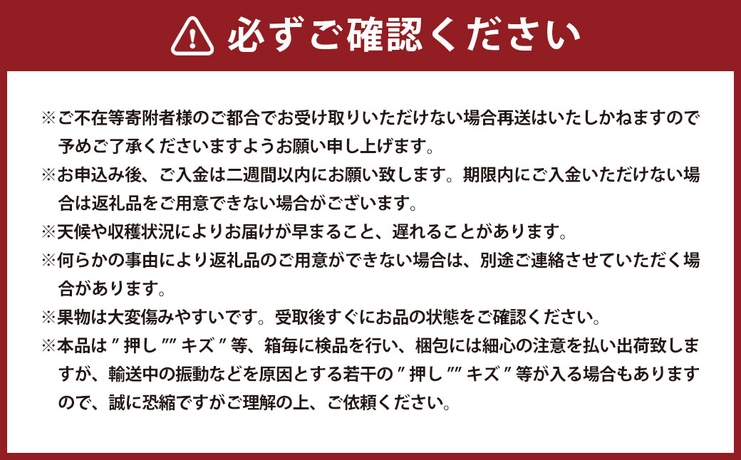 紫苑 1房（700g以上） 化粧箱入り