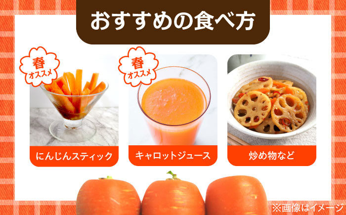 菊陽町の春にんじん 5kg 人参 ニンジン 菊陽にんじん にんじん 5キロ 熊本県産 春にんじん 