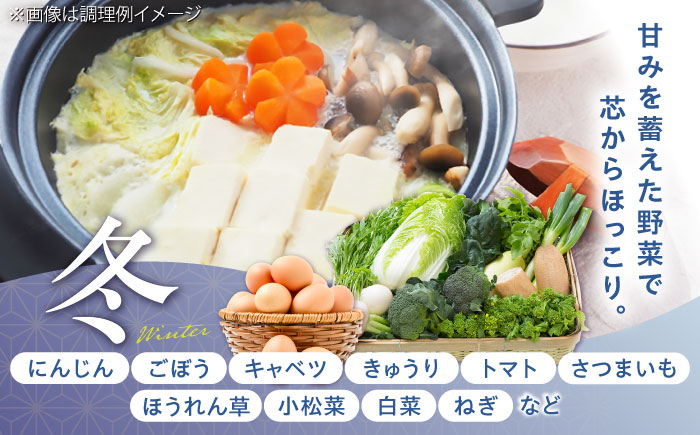 菊陽町 たまご 生卵 タマゴ 詰合せ セット 新鮮 季節 やさい ヤサイ 料理 調理 前菜 副菜 旬 卵 タマゴ 特産 熊本県