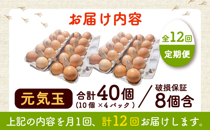 定期便 卵 ぷりぷり 新鮮 玉子 オムレツ たまごかけごはん 朝食 鶏卵 タンパク質 平飼い 濃厚 こく 熊本県 菊陽町