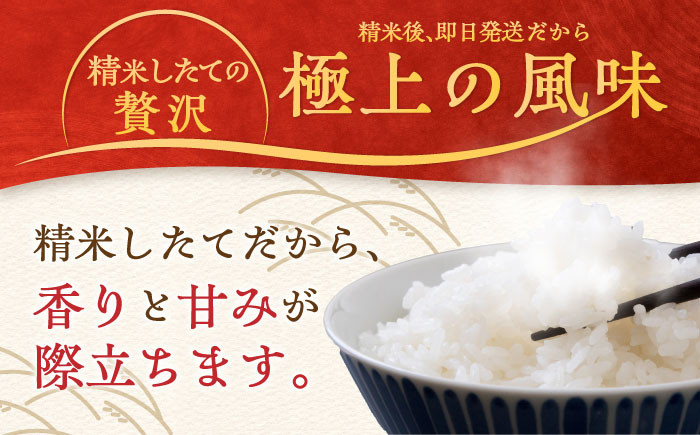 お米 米 ご飯 白米 白ご飯 ごはん コメ 定期便 お弁当 精米 精白米 さがびより