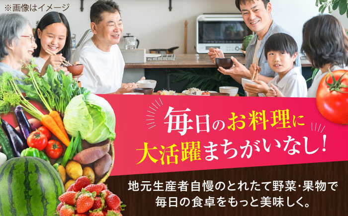 菊陽町 特産品  野菜 果物 詰め合わせ 新鮮 フルーツ セット 旬 おまかせ にんじん ごぼう 直売所 やさい 野菜 くだもの