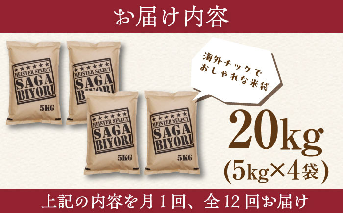 お米 米 ご飯 白米 白ご飯 ごはん コメ 定期便 お弁当 精米 精白米 さがびより