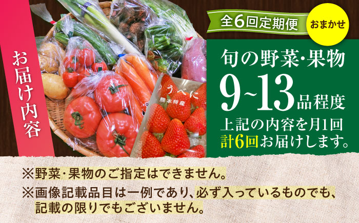 菊陽町 特産品  野菜 果物 詰め合わせ 新鮮 フルーツ セット 旬 おまかせ にんじん ごぼう 直売所 やさい 野菜 定期便