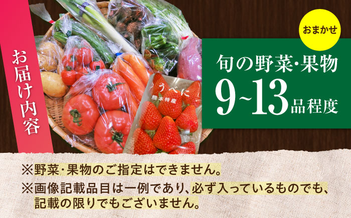 菊陽町 特産品  野菜 果物 詰め合わせ 新鮮 フルーツ セット 旬 おまかせ にんじん ごぼう 直売所 やさい 野菜 くだもの