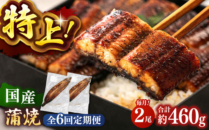 全6回定期便 特大! 鹿児島産 うなぎ 蒲焼 2尾セット