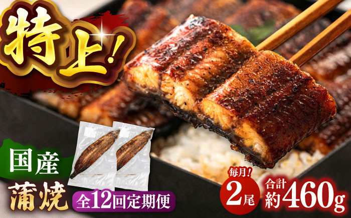 全12回定期便 特大！ 鹿児島産 うなぎ 蒲焼2尾セット