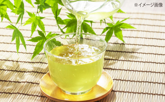 【全12回定期便】お茶 水出し緑茶（5ｇ×15P）3袋 ティーバッグ 国産 急須 冷茶 日本茶 煎茶